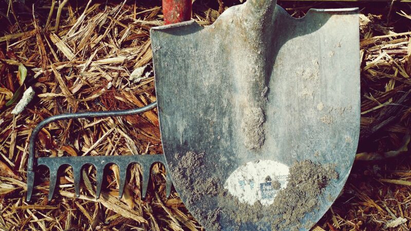 Waardevolle tips voor het volledig herinrichten van de tuin